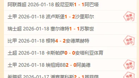 德泽尔比有望成为AC米兰下一任主教练热门候选人